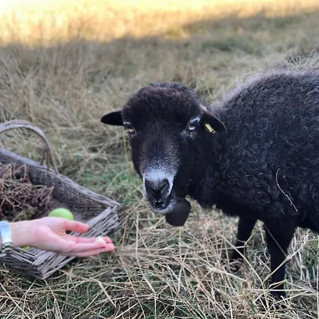 아파트 Im Im Park