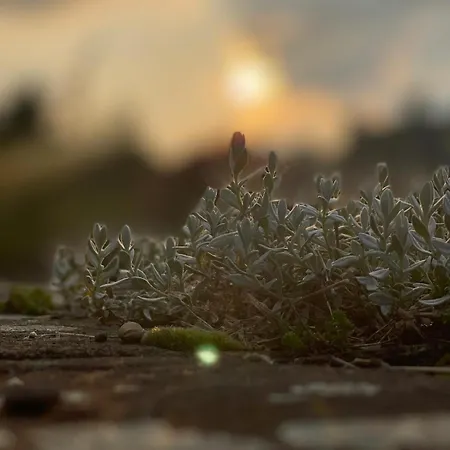 Im Im Park 아파트 헤어데케