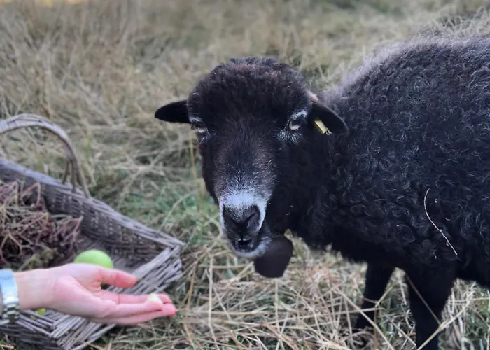 Appartement Im Im Park
