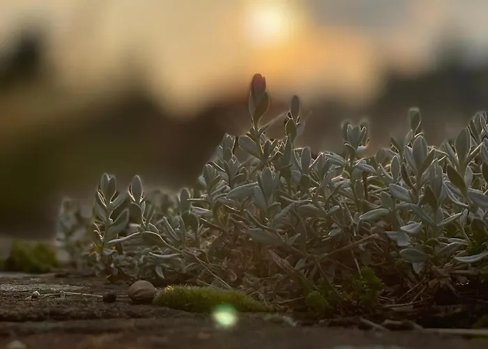 Im Im Park Appartement Herdecke