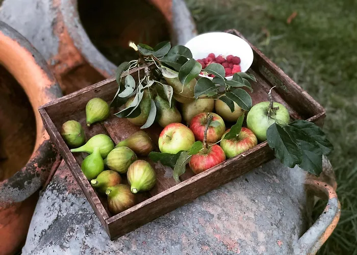 Appartement Im Im Park